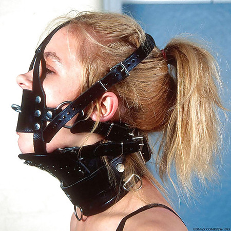 Which Gag Would You Pick For My Cheating Whore Wife Abigail