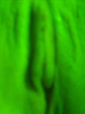 Trashy Teen Fuck Slut