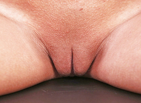 Pussy, pussy, pussy, pussy....