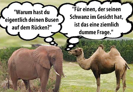 Lustige Sex Bilder :-)