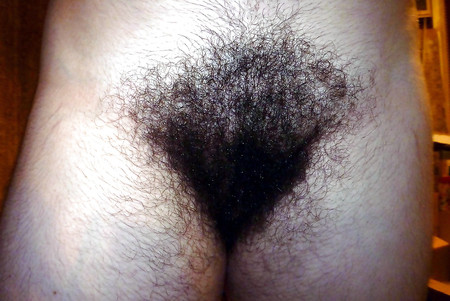 FIGA PELOSA 37 HAIRY PUSSY 37 CONO PELUDO CHATTE POILUE