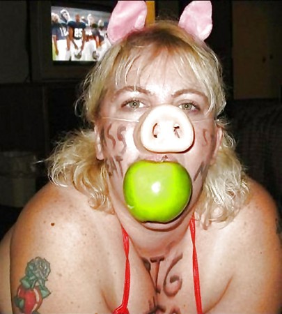 01  Mature pets,what is your favorite ?